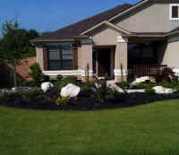 ResidentialCamperdown1.jpg (341570 bytes)