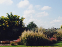 comm4b.jpg (69447 bytes)