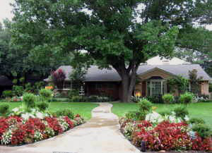 joeyhome1.jpg (26709 bytes)